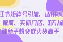 小红书矩阵号引流全阶教程 电商微商实体零基础30天成卖货高手