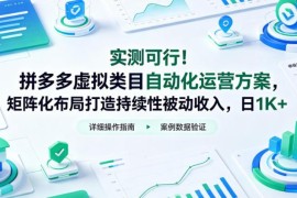 实测可行的拼多多虚拟类目自动化运营方案 矩阵布局打造稳定被动收入