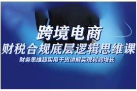 跨境电商财税合规底层逻辑实操课 搭建合规体系助力利润增长