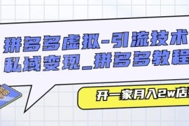 拼多多虚拟店运营实操教程 从引流到私域变现做月入2万店铺