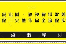 影视解说混剪搬运实操课程 完整作品制作全流程教学