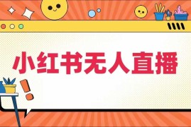 2024小红书无人半无人直播 全域电商运营实操全套教程