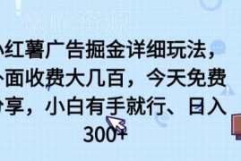 小红书广告掘金详细玩法分享 小白低门槛操作可获稳定收益