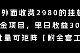 对外收费2980的海外视频平台挂G撸美金项目玩法揭秘