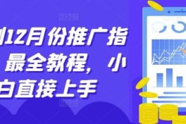 2024年12月短剧推广完整教程 零基础小白可直接上手的实操指南