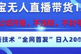 2025淘宝无人直播12.0实操玩法 合规不封号低门槛易上手爆单