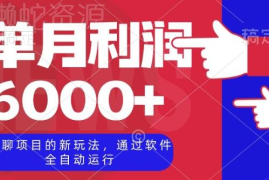 全自动陪聊项目运营新玩法 女号接单单月利润可达6000+