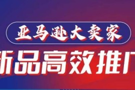 亚马逊新品高效推广实操指南 亿级卖家教你打造百万美金爆款单品
