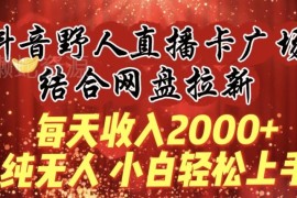 抖音野人无人直播卡广场搭配网盘拉新 低门槛实操玩法详解