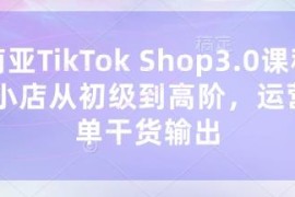 东南亚TikTok Shop3.0系统课程 从入门到高阶全链路运营出单实操干货