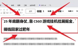 2025年底低门槛CSGO饰品全自动捡漏赚差价项目玩法拆解