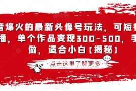 抖音头像壁纸号最新玩法 可做短视频直播 手机操作适合新手变现