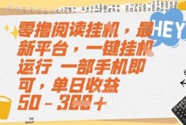 2024全新挂机阅读首码项目 单手机全自动操作收益玩法解析