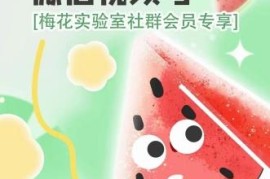 2024梅花实验室AB技术 视频号AB合成会员专属学习资源说明