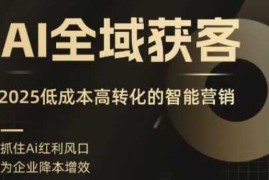 2025AI全域获客实训营 低成本智能营销精准拓客实操教程