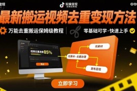 2024短视频搬运去重变现方法 万能去重操作保姆级教程