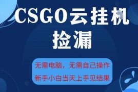 CSGO云挂全自动捡漏项目教程 新手无需电脑手机即可操作增收