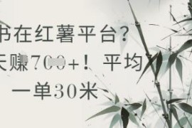 小红书抄书赚钱项目怎么操作 单均30元完整操作流程拆解