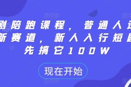 2024短剧陪跑课程详解 新人入行短剧运营变现全攻略