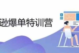 2024亚马逊爆单特训营 广告优化与爆款打造运营全教程