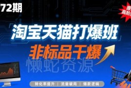 淘宝天猫打爆班第72期 非标品打爆全流程高阶实操技术教程