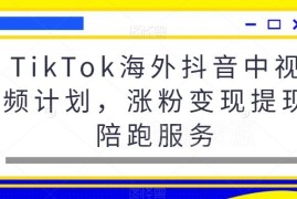 TikTok海外抖音中视频计划实操 涨粉变现提现全流程指南