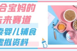 适合宝妈操作的婴儿辅食虚拟资料售卖低门槛副业玩法全解析