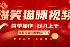 视频号搞钱新策略：做爆笑猫咪视频 低门槛上手可日入过千