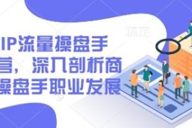 2025IP流量操盘手训练营 商业IP运营及职业发展实操课程