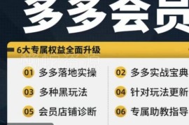 拼多多从新手到高阶运营实操课程 流量玩法爆品打造全攻略