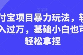 支付宝合规蓝海赚钱项目玩法 新手小白可上手轻松月入四位数