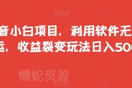 抖音小白无货源搬运项目 私域转化裂变日入500+玩法详解
