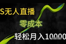 2025年KS最新无人直播玩法 仅需一部手机的低门槛增收项目