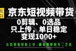 用户出账号团队代运营京东短视频带货 低门槛变现项目全解析