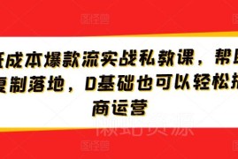 淘宝低成本爆款运营实战私教课 0基础商家可快速复制落地玩法
