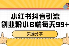 小红书抖音引流创业小B端粉 日引99+私域精准粉玩法揭秘