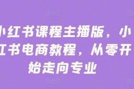 小红书主播版电商运营全教程 从零基础入门到专业实操指南