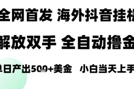 2025海外TikTok无人直播项目解析 新手可做单日稳定收益超千元