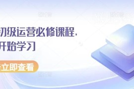 京东初级运营入门必修课程 零基础学习店铺运营全流程