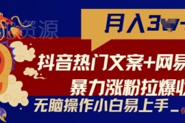 抖音热门文案配网易云截图涨粉玩法 新手零基础可快速上手