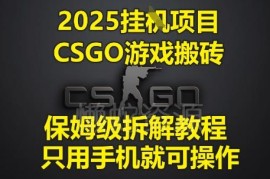 2025年CSGO游戏挂G搬砖项目 零基础纯手机操作保姆级拆解教程