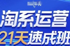 2025年7月更新 0基础21天速成淘系运营全链路实操课程