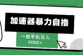 2025游戏加速器暴力自撸红利项目揭秘 单机单日收益超千元