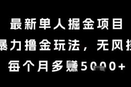 当前红利期无风控单人掘金项目详解 正规玩法每月可额外增收5k+