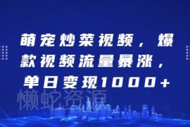 AI制作萌宠炒菜爆款视频教程 流量高涨粉快单日可变现上千元