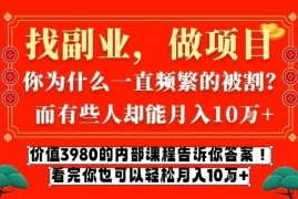 价值3980元网创内部课 揭秘互联网创业月入十万核心方法