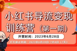 一线团队出品小红书公域导私域课 多平台导流变现实操方法