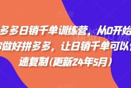 2024年11月更新拼多多运营课 从0打造可复制日销千单店铺