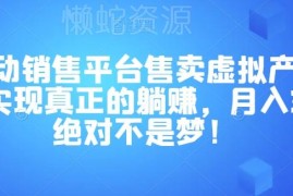 虚拟产品全自动销售平台操作教程 新手做副业可长期稳定盈利