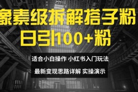 搭子粉引流及变现玩法像素级拆解 小白可上手日引100+精准粉